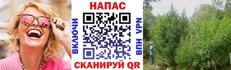 Где купить Пенза Гашиш Марихуана LSD-25 Меф мяу мяу