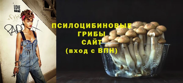 PSILOCYBIN Арсеньев
