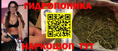 ECSTASY Волжск