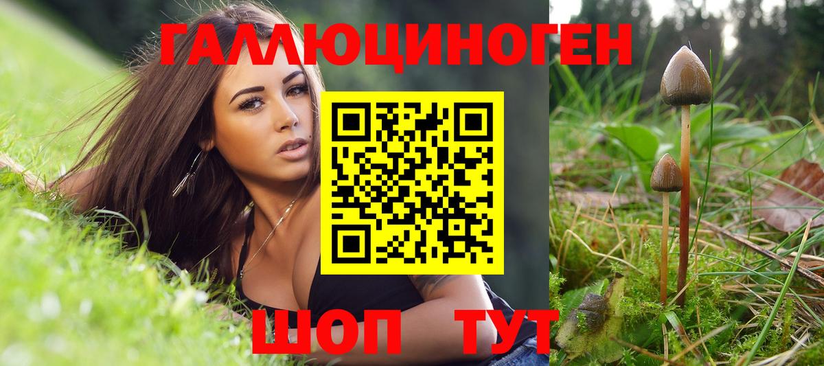 Пенза  Псилоцибиновые грибы мухоморы  Вход с VPN  Псилоцибиновые грибы GOLDEN TEACHER 