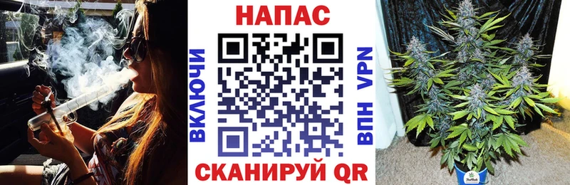 купить наркотик  Пенза  Каннабис сатива 